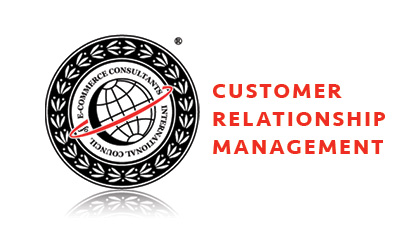 IT courses CVIT Customer Relationship Management course